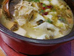 -周鱼小馆石锅酸菜鱼(活力汇店)