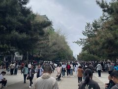 -哈尔滨极乐寺