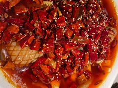 毛血旺-初蓉丨遇见新川菜(亲贤街荣耀店)
