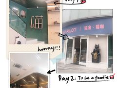 -飞行喵MR PILOT|猫舍·猫咖(静安大融城店)