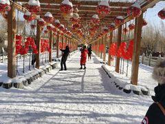 -葫芦古镇关东民俗雪乡