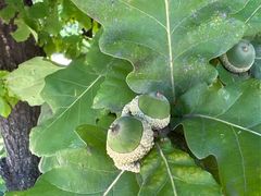 -天鹅湖生态旅游风景区