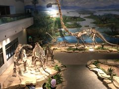 -自贡恐龙博物馆