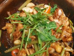 啫啫牛蛙-煲煲好(朝阳门店)