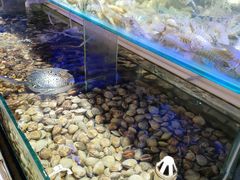 -四海蒸鲜蒸汽海鲜自助(北戴河店)