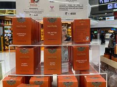 -英迪拉·甘地国际机场