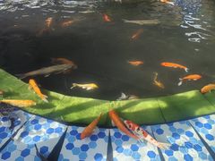 -白沙门生态公园