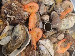 蒸汽海鲜锅-今鲜源酒店·海鲜锅贴青岛菜(新湛路店)