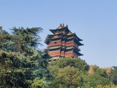 -阅江楼风景区