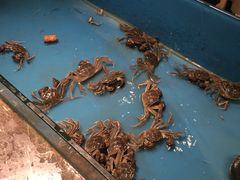 -星伦多 自助料理(圆融店)