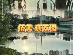 -侨美·唐荔园·40年地道粤菜