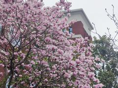 -华东政法大学(松江校区)
