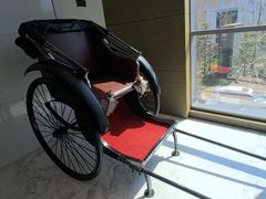 -建滔诺富特酒店-悦餐厅