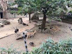 -成都动物园