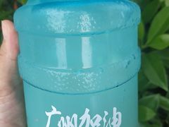 元气肉肉荔枝-milkplus·泰式奶茶(较场东路店)