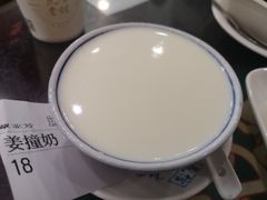 原味姜撞奶-民信老铺(华盖路店)