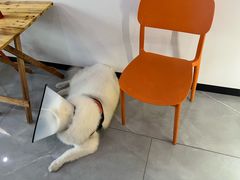 -中国体育彩票(竞彩店)