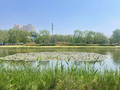 -北京奥林匹克公园