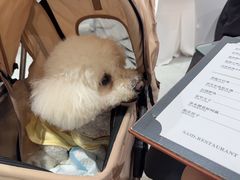 -赛德大酒店(邗江中路店)