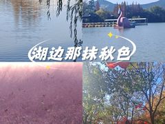 -云龙湖旅游景区