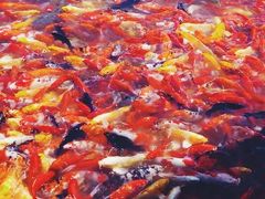 -泰安地下龙宫景区