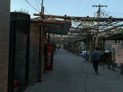 -亲兄弟真人CS团建拓展基地