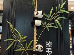 -轩客会(熊猫书店)