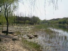 -新江湾城公园