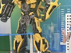 -东北大学附属辽宁爱尔眼科医院