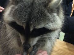 -藦茜花园宠物主题亲子互动体验馆(国顺东路店)