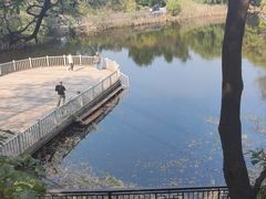 -沈阳市东陵公园