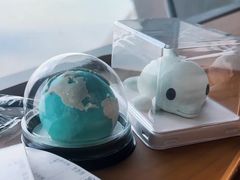 -抱抱地球咖啡馆(国家海洋博物馆店)