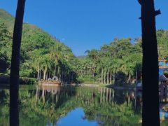 -西双版纳原始森林公园