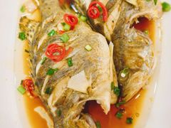 -源水鱼庄·翘嘴鲌店·老字号