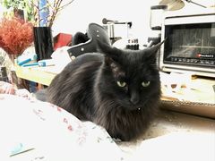 -有肉食·虎九闽菜(798艺术区店)