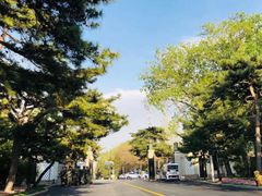 -钓鱼台国宾馆