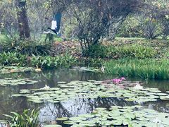 -中国科学院西双版纳热带植物园