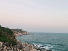 -广东惠东海龟国家级自然保护区