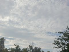 -厦门园林博览苑