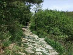 -终南山国家森林公园