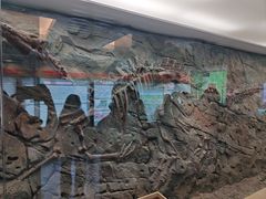 -嘉荫恐龙国家地质公园