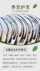 -木北造型