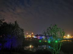 -花博汇(知音花月夜)