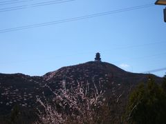 -定都峰