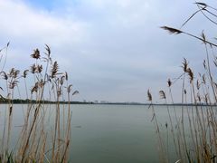 -漕湖湿地公园
