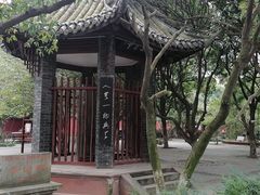 -房湖公园