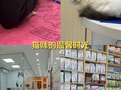 -瑞鹏宠物医院·微创内窥镜·骨外科·牙科(翠竹分院)