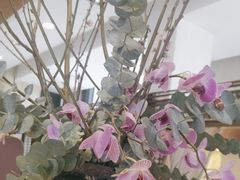 -旺顺阁海鲜广场(亚运村店)