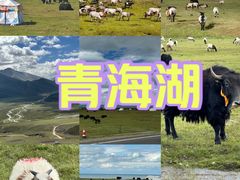 -青海湖国家重点风景名胜区
