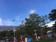 -深圳坪山站